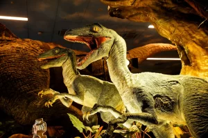 Are Animatronics Dangerous - CineMagic Workshop