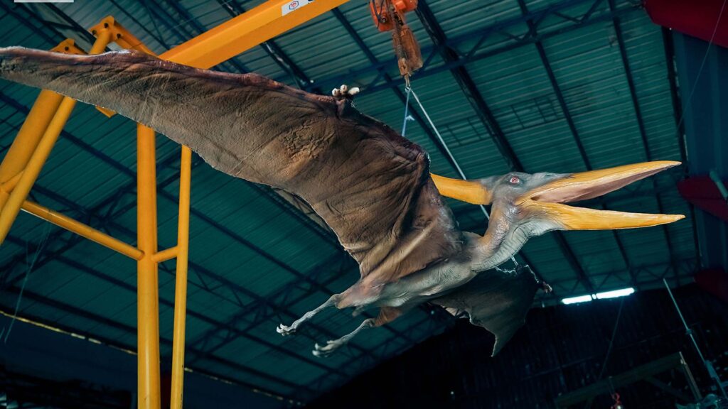 Customizable Wholesale Animatronic Pteranodon 6M - Cine Magic - 10
