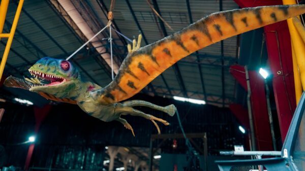 Customizable Wholesale Animatronic Pteranodon 6M - Cine Magic - 8