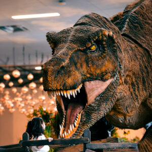 Tyrannosaurus Rex 13M - CineMagic-1
