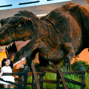 Tyrannosaurus Rex 13M - CineMagic-2