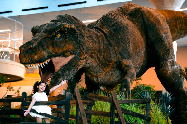 Tyrannosaurus Rex 13M - CineMagic-2