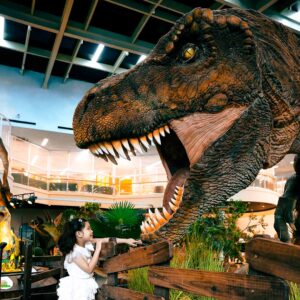 Tyrannosaurus Rex 13M - CineMagic-8