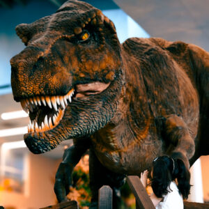 Tyrannosaurus Rex 13M - CineMagic-9