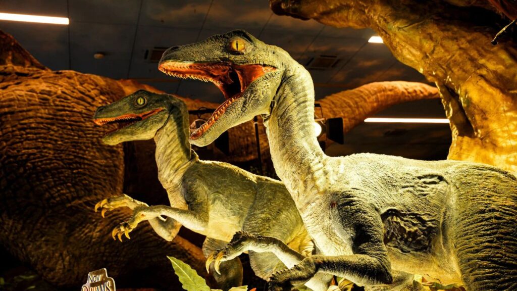 Wholesale Animatronic Velociraptor Dinosuarus - CineMagic Workshop