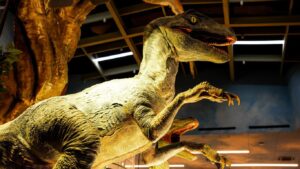 Dinosaur exhibit featuring realistic, large dinosaur sculptures and details.